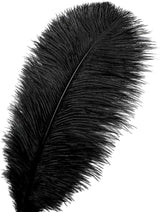 Ballinger Black Ostrich Feathers Bulk - 24Pcs 8-10inch Feathers for