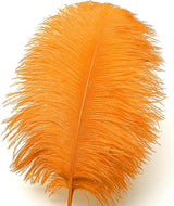 Ballinger Orange Large Ostrich Feathers - 24Pcs 8-10inch Big Feathers
