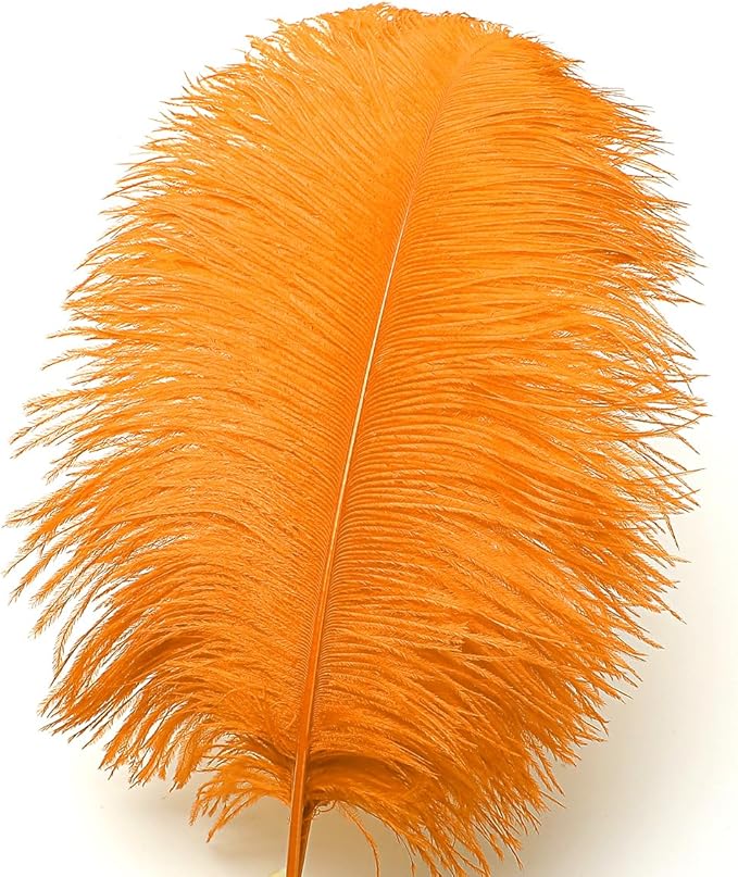 Ballinger Orange Large Ostrich Feathers - 24Pcs 12-14inch Big