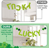 3 Pack Felt St Patrick's Day Decorations Garland 6.6 FT Lucky Pom