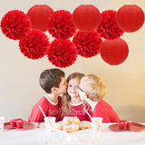 Red Valentines Day Paper Flowers Tissue Pom Poms Hearts Honeycomb