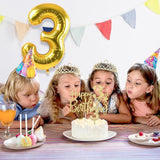 3rd Birthday Decorations for Girls with 3rd Birthday Sash and