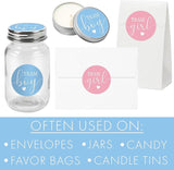 Pink or Blue Gender Reveal Party - Team Boy or Team Girl Stickers -