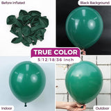 Bezente Dark Green Balloons Latex Party Balloons - 100 Pack 12 inch