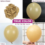 Bezente Tan Latex Party Balloons - 100 Pack 12 inch Round Helium