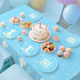 1st Birthday Decorations Boy Baby Blue Party Supplies Kit for 16