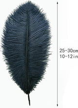 Ballinger Navy Blue Ostrich Feathers Plumes - 24pcs 10-12inch Craft