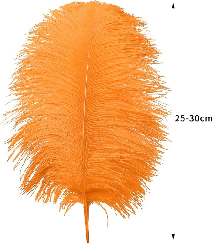 Ballinger Orange Large Ostrich Feathers - 24Pcs 10-12inch Large