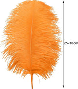 Ballinger Orange Large Ostrich Feathers - 24Pcs 10-12inch Large