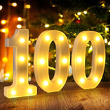 100th Birthday Decorations for Women Men 100 Birthday Decorations