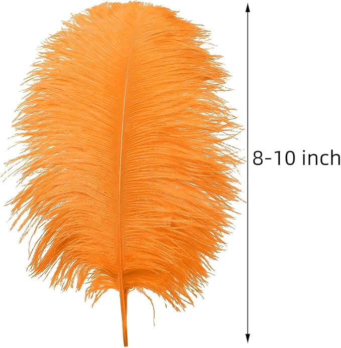 Ballinger Orange Large Ostrich Feathers - 24Pcs 8-10inch Big Feathers