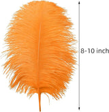 Ballinger Orange Large Ostrich Feathers - 24Pcs 8-10inch Big Feathers