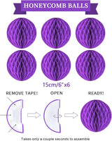 Retirement Party Decorations Kit for Women - 16-Piece Elegant Purple
