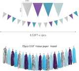 Purple-Blue Silver Frozen Christmas Party-Decorations - 30pcs Tissue