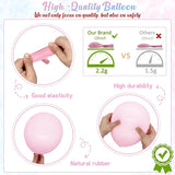 Bear Gender Reveal Balloon Boxes Decorations 158pcs Pink Blue
