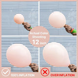 PartyWoo Pastel Orange Balloons 100 pcs Different Sizes of 36 18 12