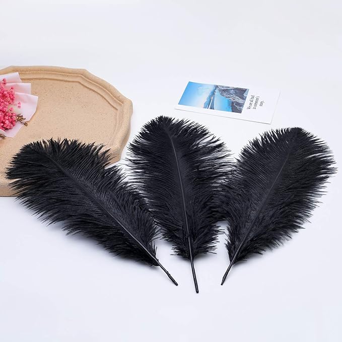 Ballinger Black Ostrich Feathers Bulk - 24Pcs 8-10inch Feathers for