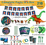 Dinosaur Birthday Party Supplies Kit For Boys Dinosaur Party