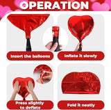 Valentines Day Balloons Decoration Rose Be Mine and Red Heart Letter