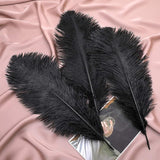 Ballinger Black Large Ostrich Feathers - 24Pcs 12-14inch Large