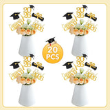 Graduation Decorations 2026, 20 PCS Sparkling Black and Gold