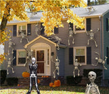 Sincere Party Glow In the Dark Skeleton White Bones Skeleton Costume