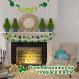 3 Pack Felt St Patrick's Day Decorations Garland 6.6 FT Lucky Pom