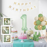Sage One Year Old Birthday Decorations One Balloon Box 12 Inch Sage