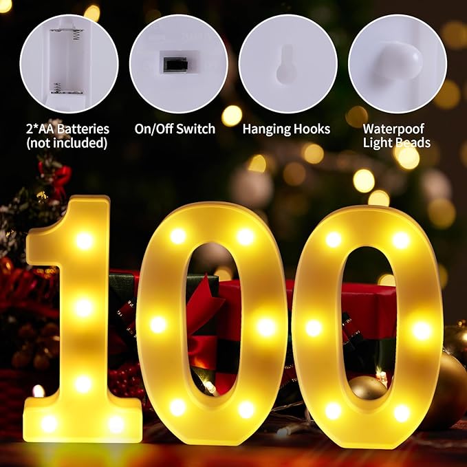 100th Birthday Decorations for Women Men 100 Birthday Decorations