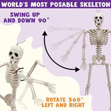 5 PCS Posable Halloween Skeleton Decor 16 Inches Full Body Posable