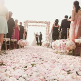CODE FLORIST 1100 PCS White Silk Rose Petals for Valentine's