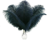 Ballinger Navy Blue Ostrich Feathers Plumes - 24pcs 8-10inch Craft