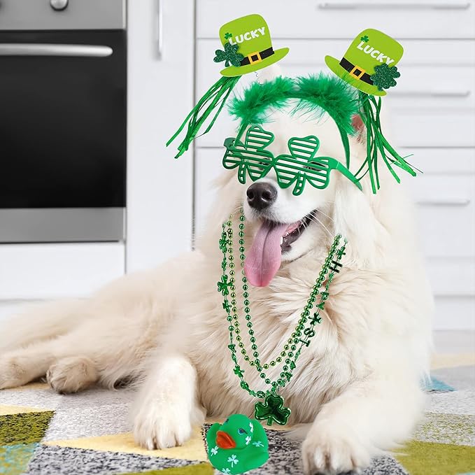 Bulk St Patrick's Day Novelty Jewelry Assortment St Patrick's Day