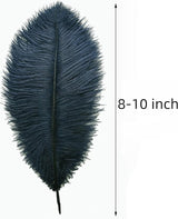 Ballinger Navy Blue Ostrich Feathers Plumes - 24pcs 8-10inch Craft
