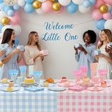 Funnymoom 452 Pcs Gender Reveal Gingham Party Decoration for 50, Pink