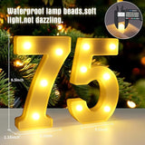 75th Birthday Decorations for Women Men 75 Birthday Decorations for