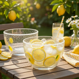 Potchen 2 Pcs Lemon Glass Fruit Bowl, 14oz Clear Glass Citrus Candy