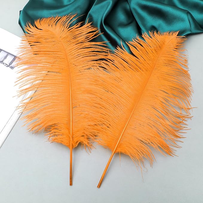 Ballinger Orange Large Ostrich Feathers - 24Pcs 10-12inch Large