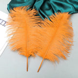 Ballinger Orange Large Ostrich Feathers - 24Pcs 10-12inch Large