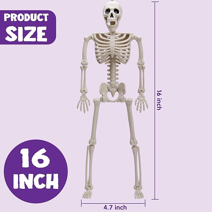 5 PCS Posable Halloween Skeleton Decor 16 Inches Full Body Posable