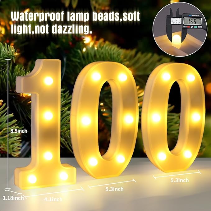 100th Birthday Decorations for Women Men 100 Birthday Decorations