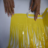 BRAVESHINE Fringe Curtain Backdrop - 2 Pack Pastel Yellow Photo