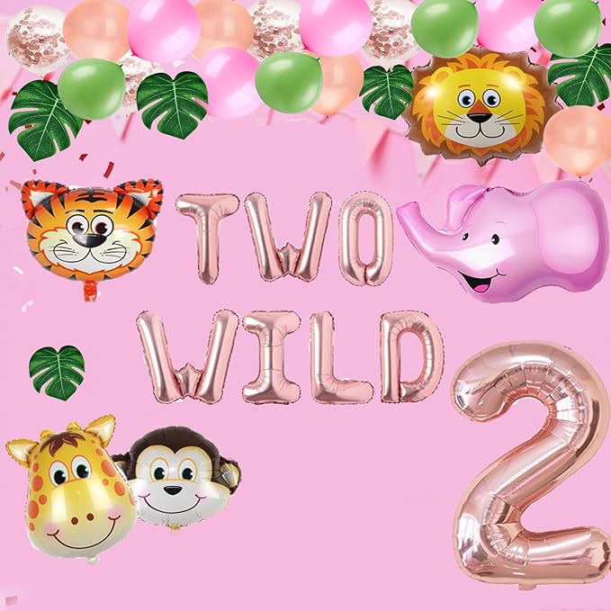 Two Wild Birthday Party Decorations Jungle Themed Secend Girl