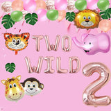 Two Wild Birthday Party Decorations Jungle Themed Secend Girl