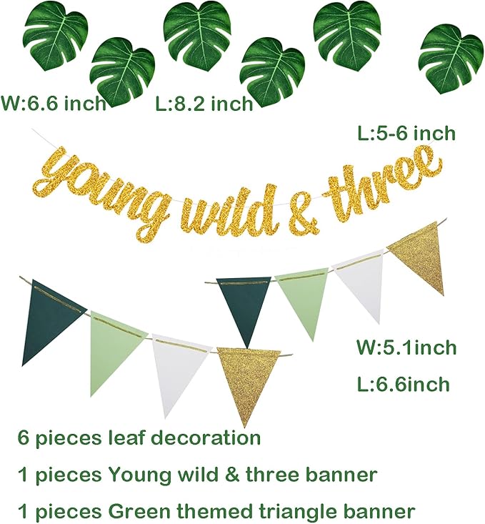 Jungle 3rd Birthday Decorations Safari Birthday Party Wild Three