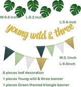 Jungle 3rd Birthday Decorations Safari Birthday Party Wild Three
