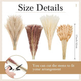 400 Pcs Dried Pampas Grass Decor Bulk 17 Inch White Dried Reed Grass