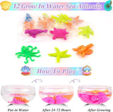 Mermaid Party Favors 12 Pack Mermaid Birthday Party Supplies Goodie