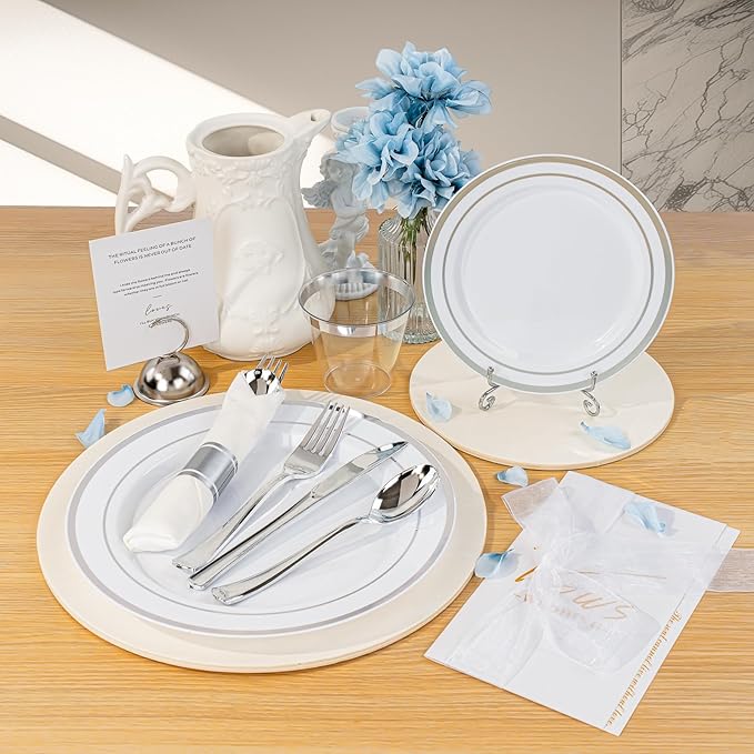 BESTVIP 700PCS Silver Plastic Dinnerware Set for 100 Guests,
