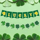 St Patricks Day Banner Garlands St Patricks Day Decorations Lucky